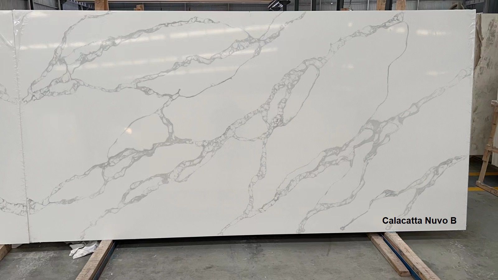 Calacatta Nuvo B Slab - OCC My Stone